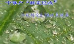 个体户核定征收