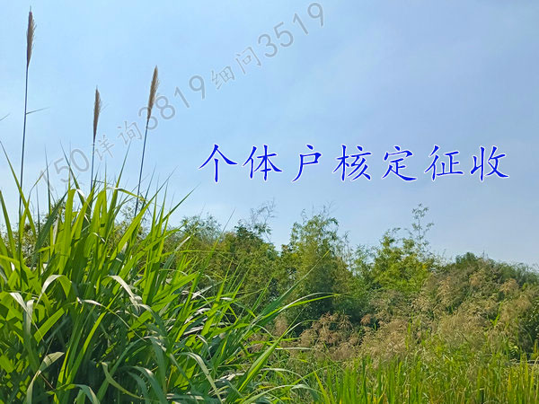 廧˶